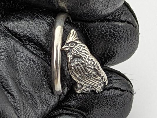 Andrew Messer, photo 1