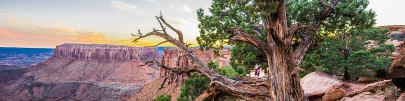 Ryan Hoppie, photo 2