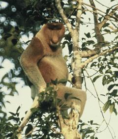 Dave Langhorst, photo 2