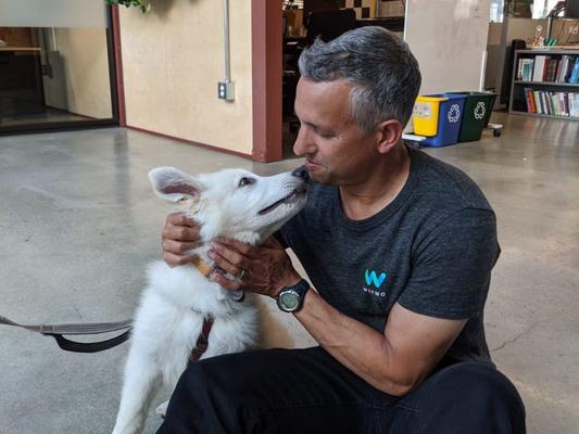 Simon Verghese, photo 1