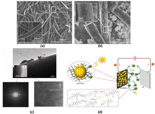 Ashraf Vali, photo 1