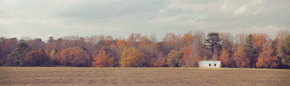 Wes Richardson, photo 1