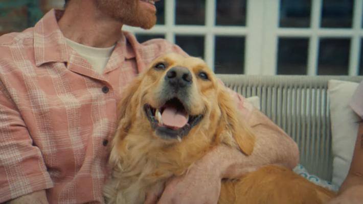 Ryan Wheaton, photo 2