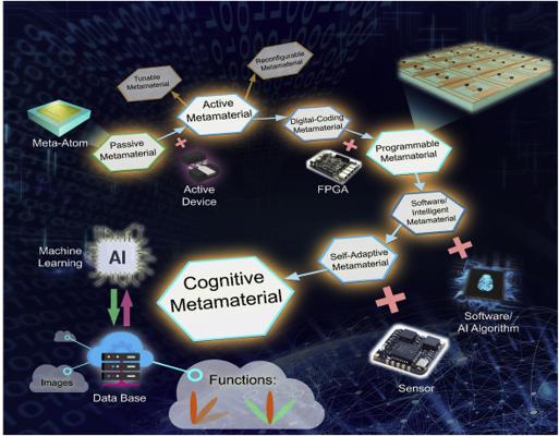 Shannon Dew, photo 2