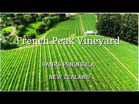 Simon Lints, photo 1