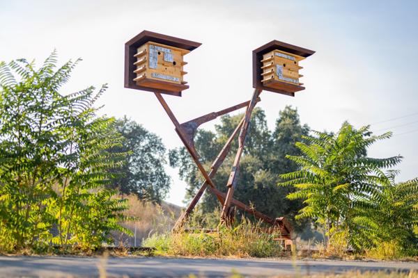 Jonathan Fogelson, photo 1