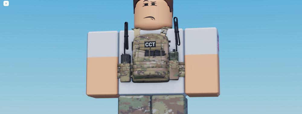 Bart Prinzen, photo 2