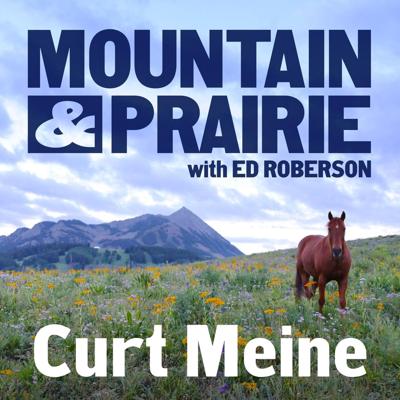 Sandy Colhoun, photo 2