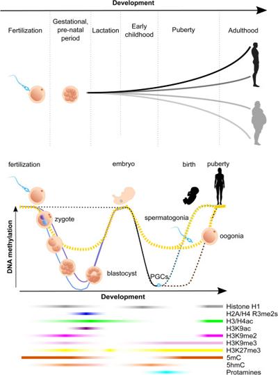 Elgen Strait, photo 1