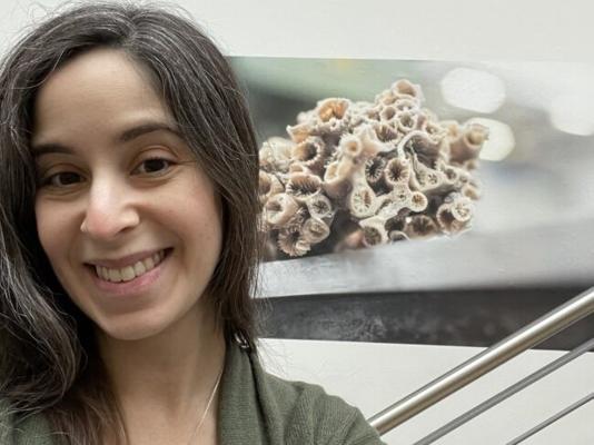 Henry Towbin, photo 2