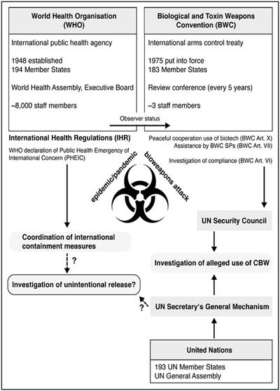 Eastern Lai, photo 1
