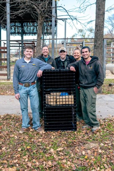 Donny Shubert, photo 2