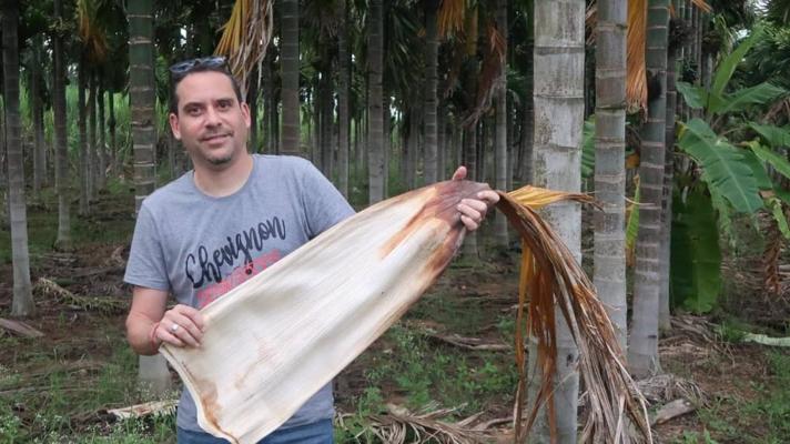 David Drouin, photo 2