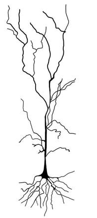 Imran Thobani, photo 2