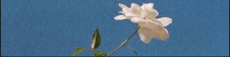 Pruthvi Patil, photo 2