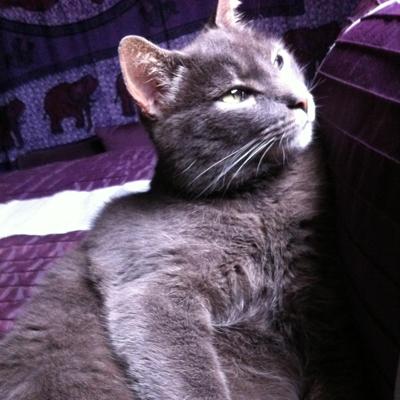 Larry Tasse, photo 2