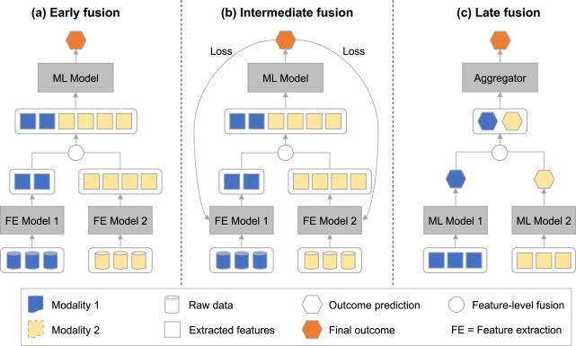 Eric Brattain, photo 1