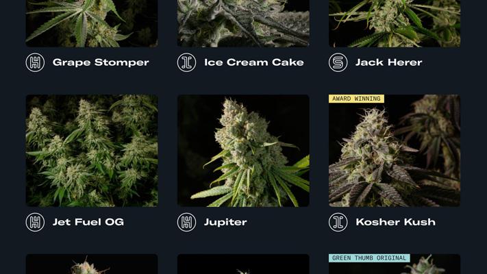 Casey Gordon, photo 2