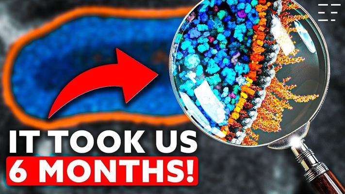 Mitch Apley, photo 1