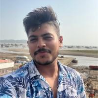 Vileshkumar Dohale, photo 1