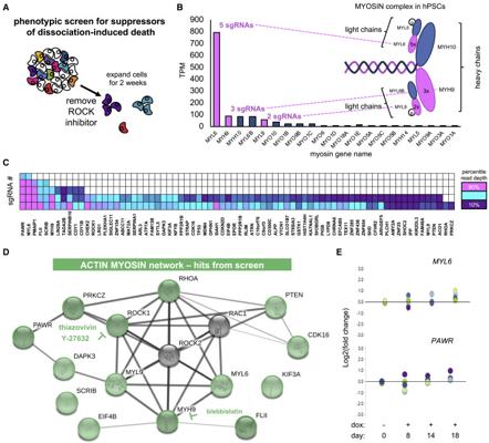 Greg Zinger, photo 1