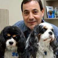 Cphr Christine Michalko, photo 2