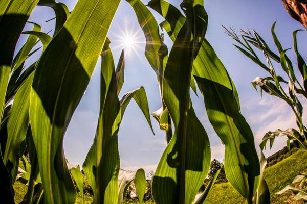 Jeff Forbes, photo 2