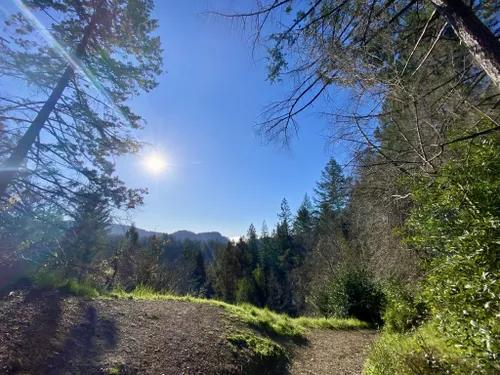 Nick Reshetnikov, photo 1