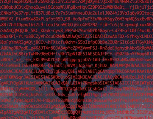 Christopher Salam, photo 2