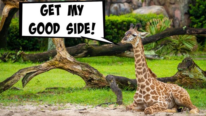 Eric Anderson, photo 1