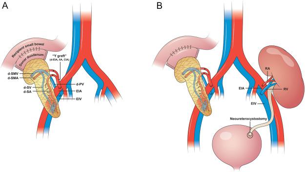Mbbs Meteb AlBugami, photo 1