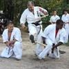 Shihan Velez