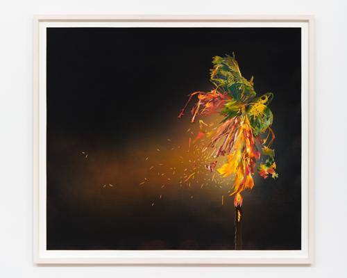 Derek Sorkin, photo 1