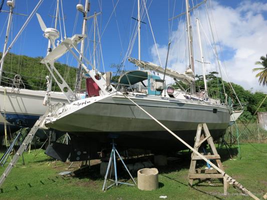 Oli Kirkness, photo 1