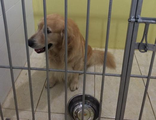 Indri Puteri, photo 2