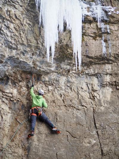 Andrew Brown, photo 2