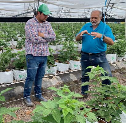 Frank Chavez, photo 1