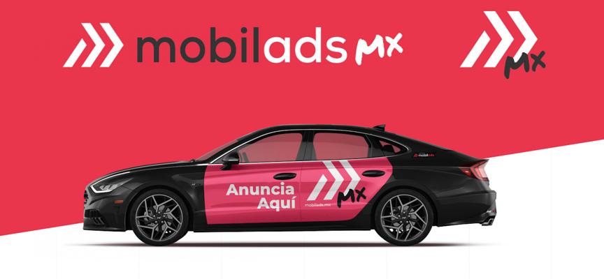 Craig Andrew Cook, photo 1