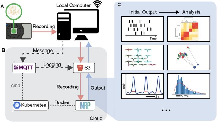 Joseph Levitas, photo 2