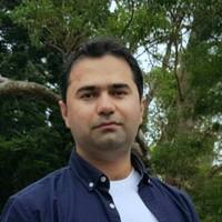 Najm Hassan
