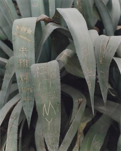 Teresa Eng, photo 1