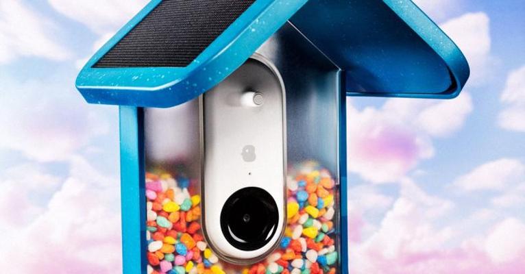 Ziga Vrtacic, photo 2