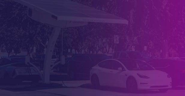 Tristan Bannon, photo 1