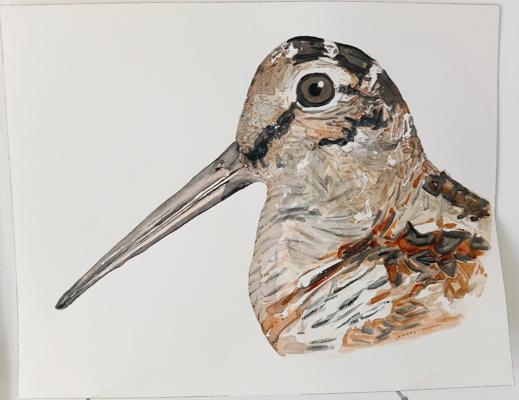 Suzanne Canali-Woodcock, photo 1