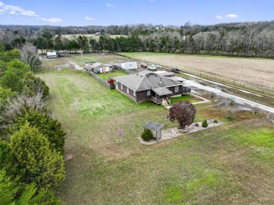 Robert  Bell, photo 2