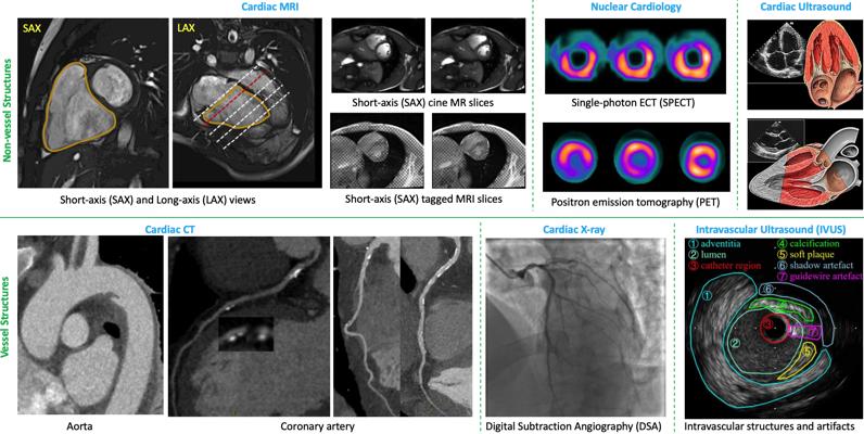 Ashley Cutter, photo 1