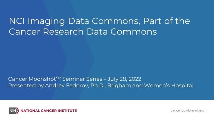 Andrey Fedorov, photo 1