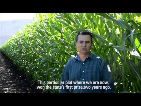 Erez Govrin, photo 1