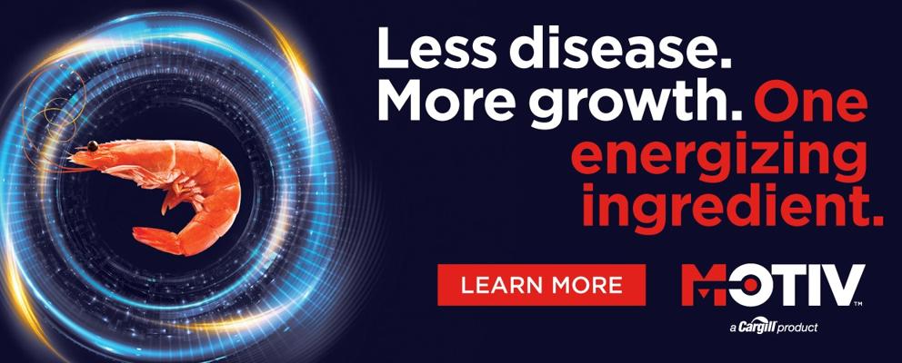 Nissim Chen, photo 1