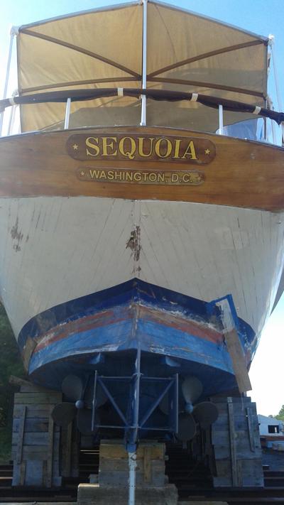 Stephen Coan, photo 2